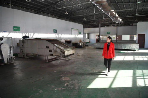 一片茶葉，萬千氣象——新華社關(guān)注平利以茶飲產(chǎn)業(yè)引領(lǐng)鄉(xiāng)村振興新實(shí)踐